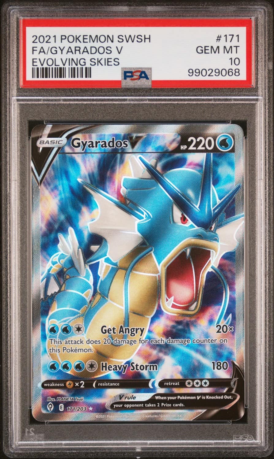 Gyarados V