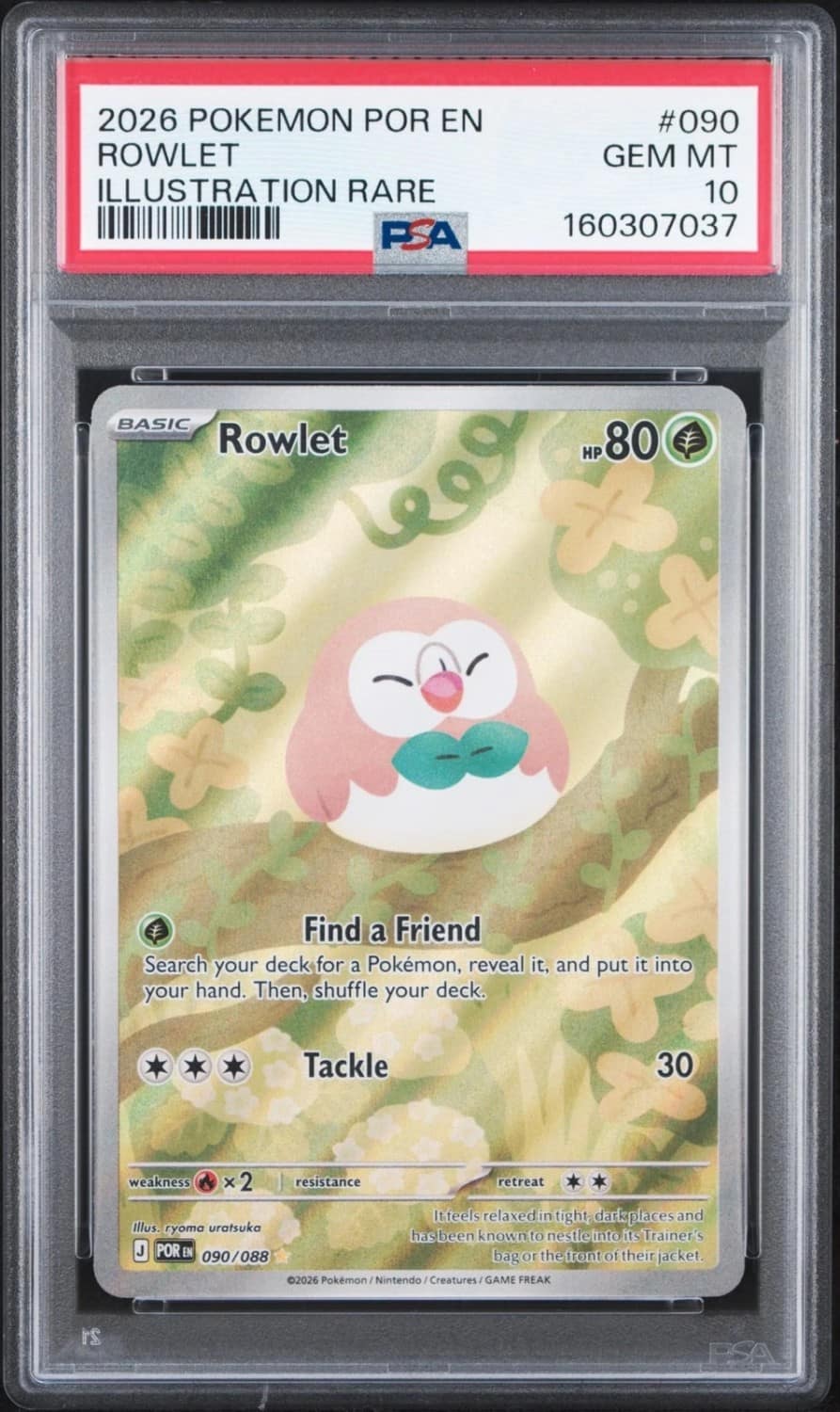 Rowlet