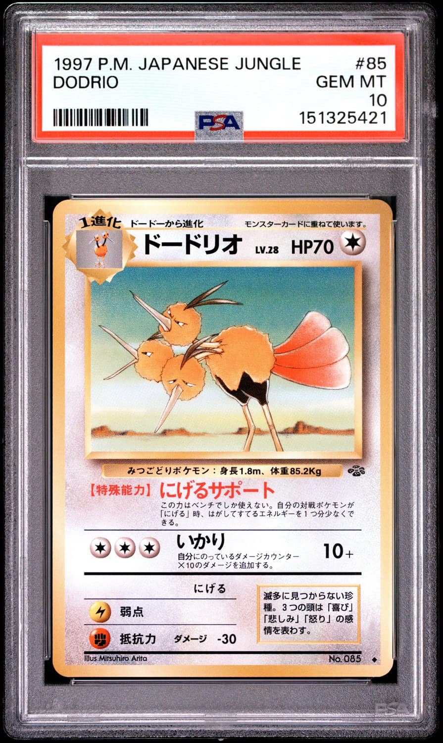 Dodrio