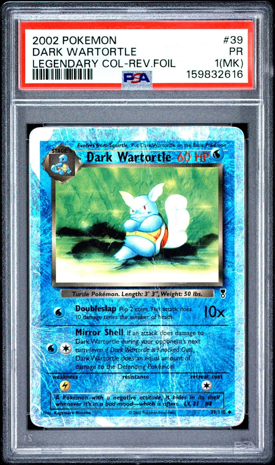 Dark Wartortle