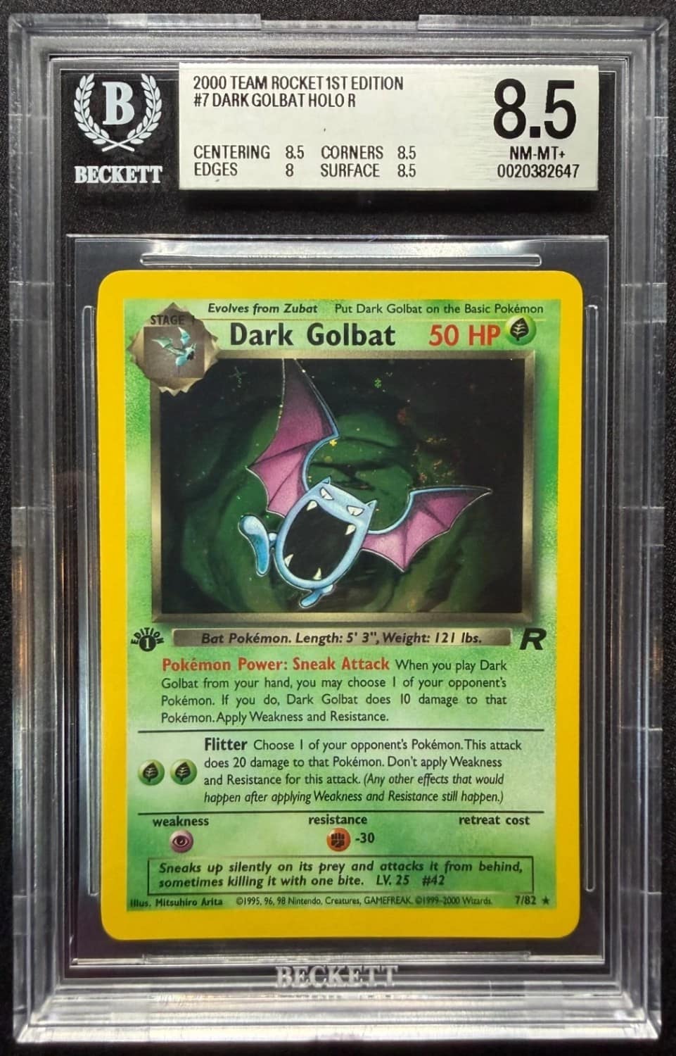 Dark Golbat