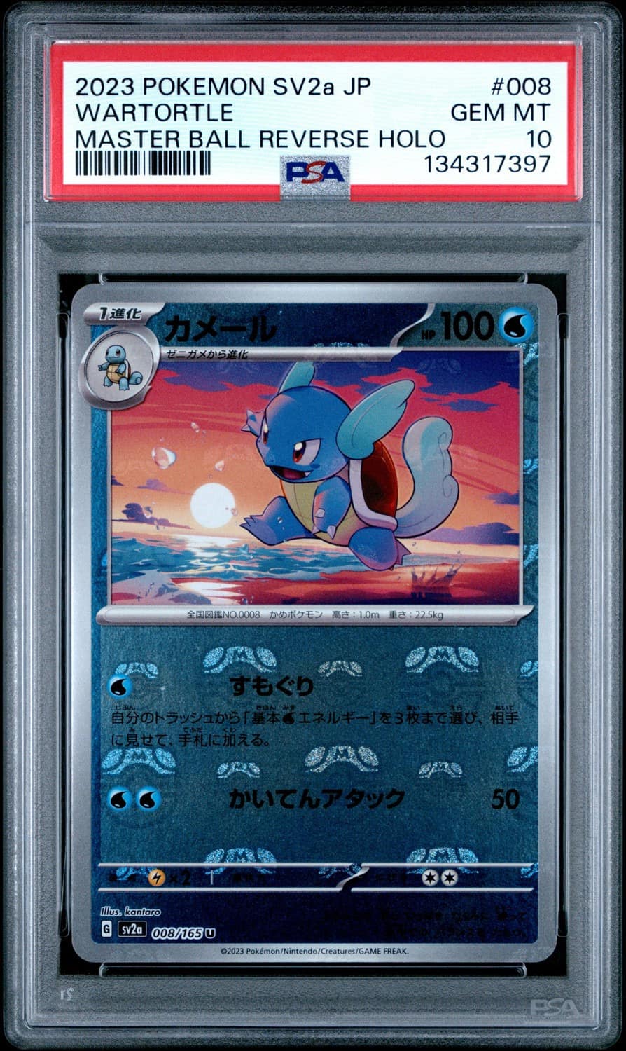 Wartortle