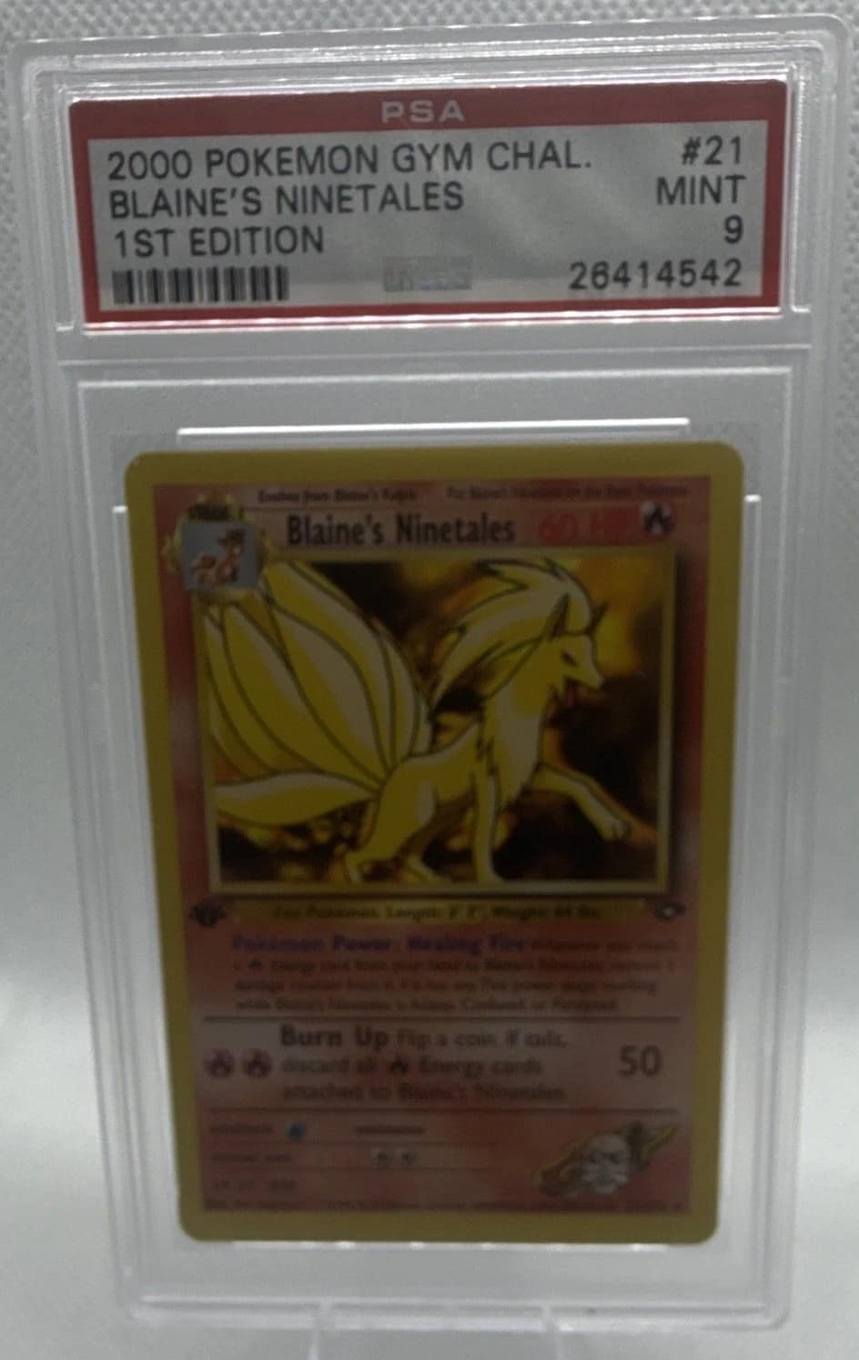 Blaine'S Ninetales