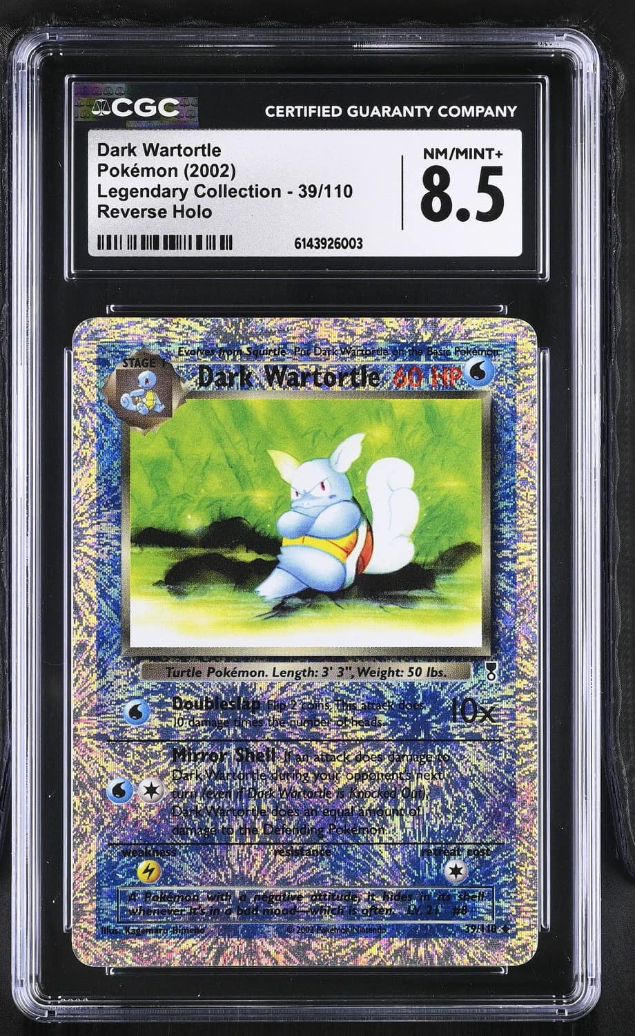 Dark Wartortle