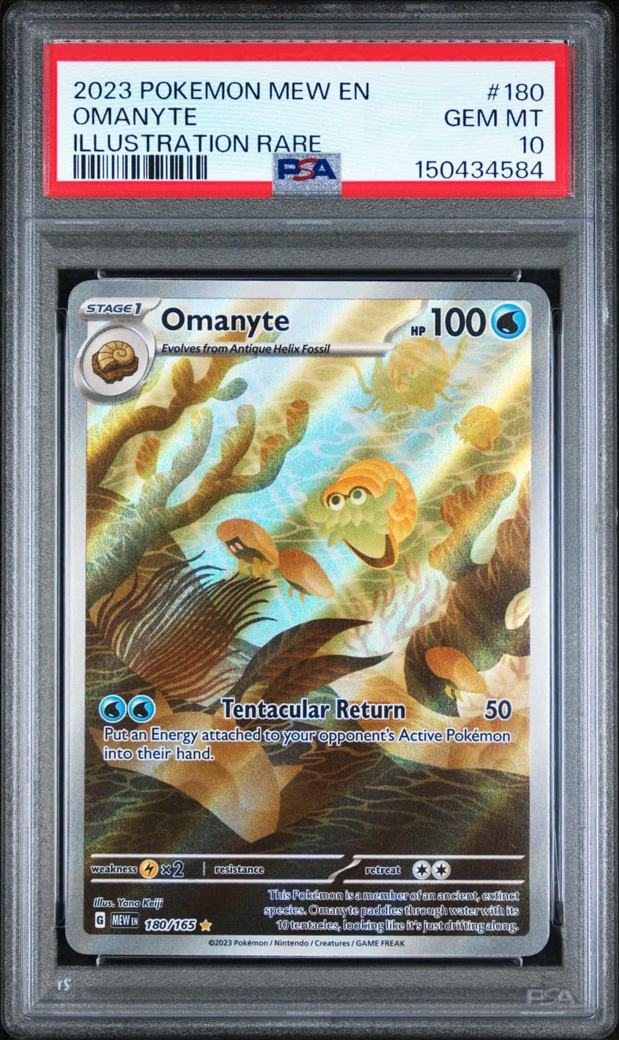 Omanyte