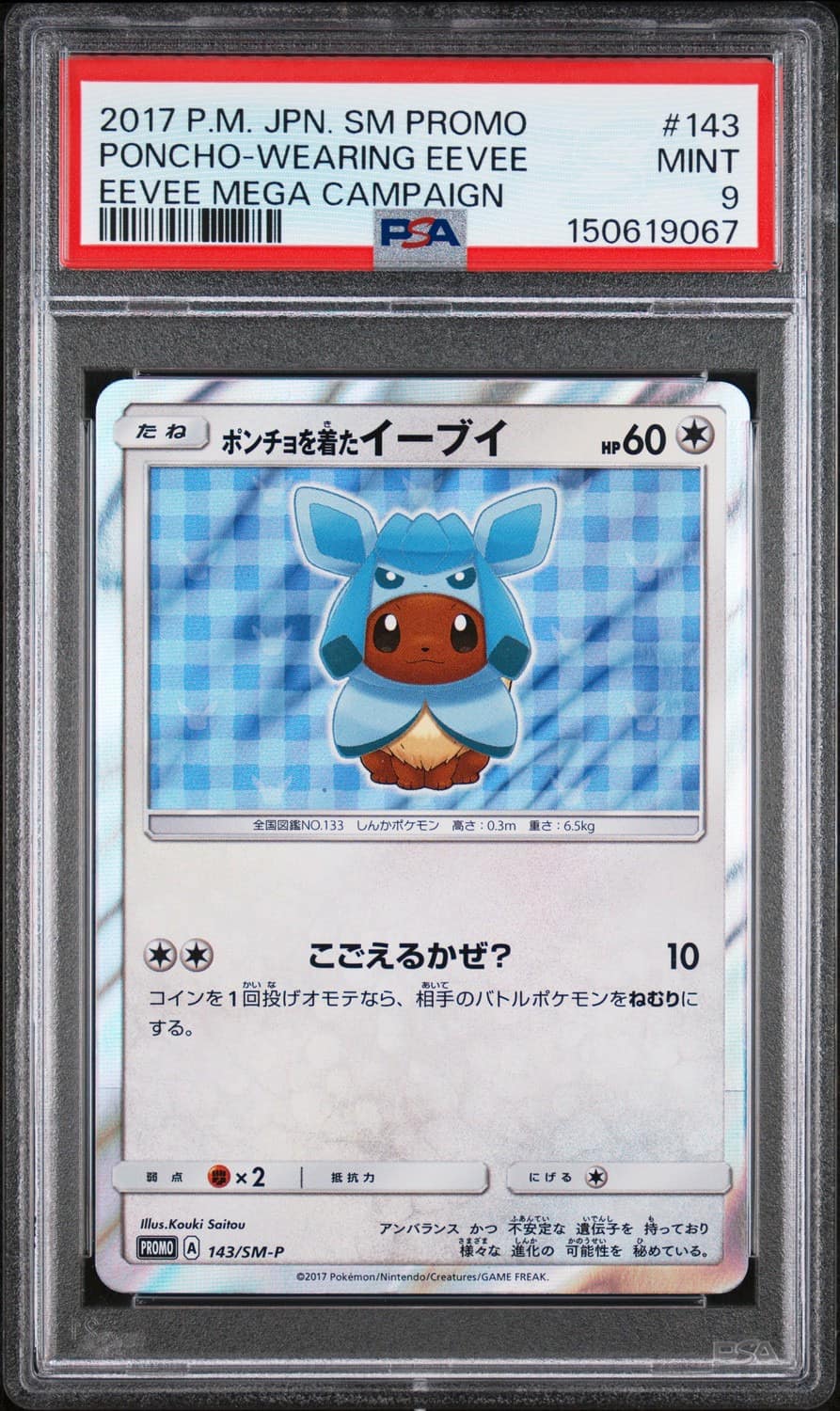 Poncho-Wearing Eevee