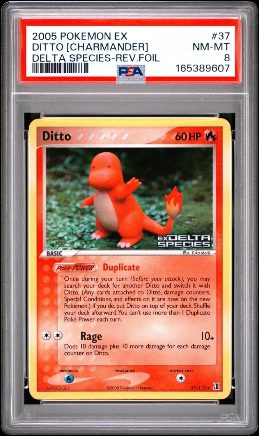 Ditto [charmander]