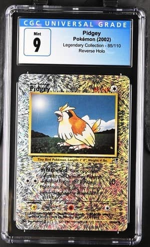 Pidgey