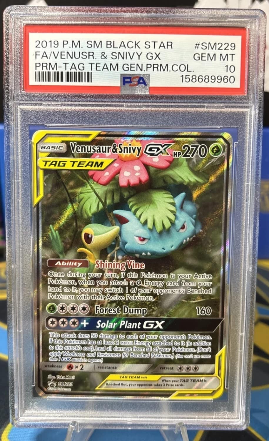Venusaur & Snivy Gx