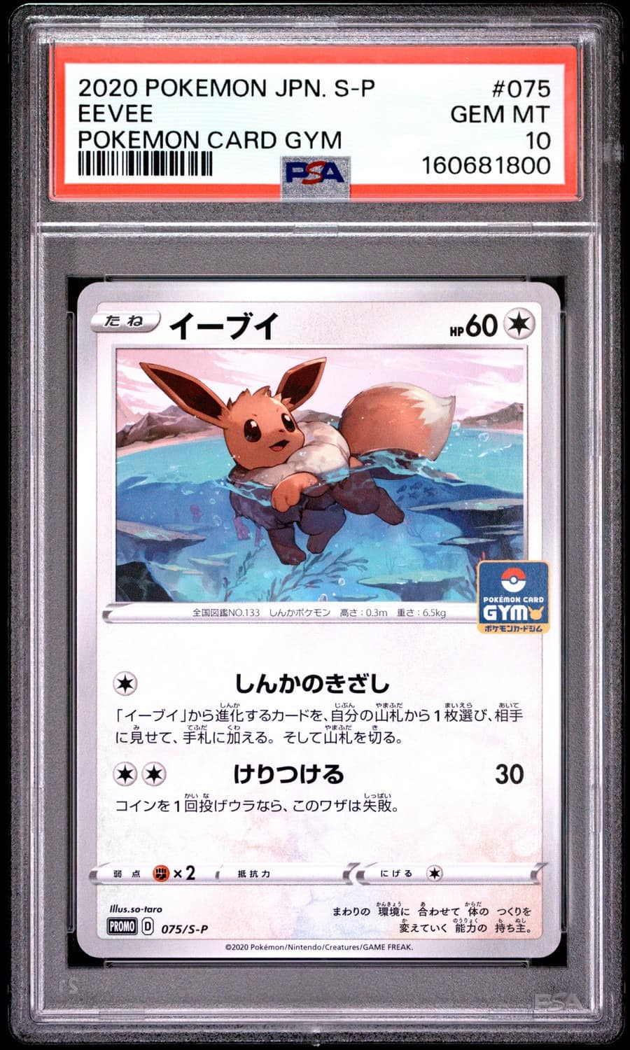 Eevee