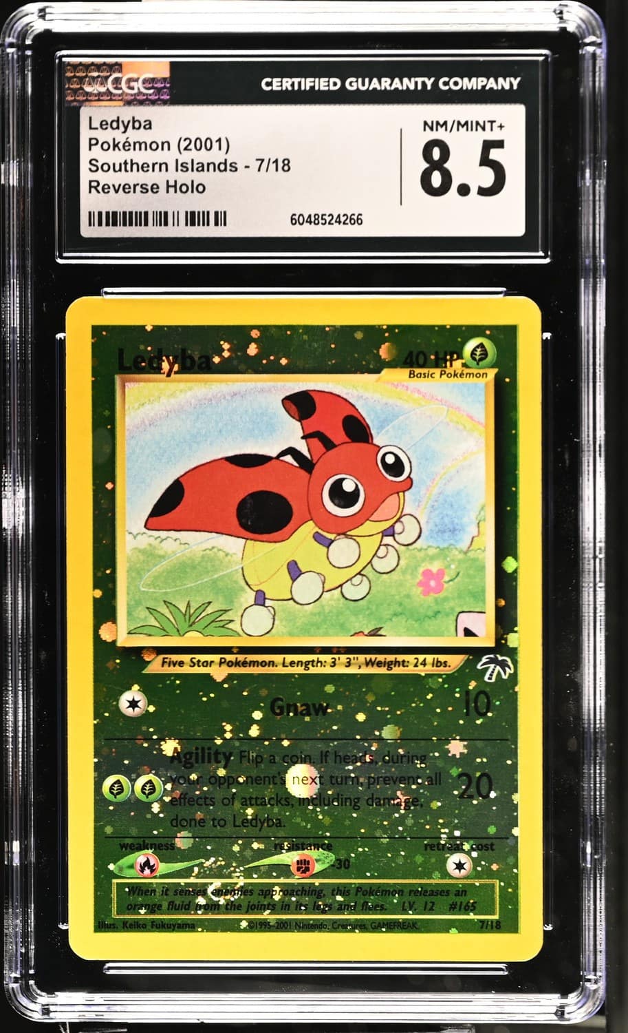 Ledyba