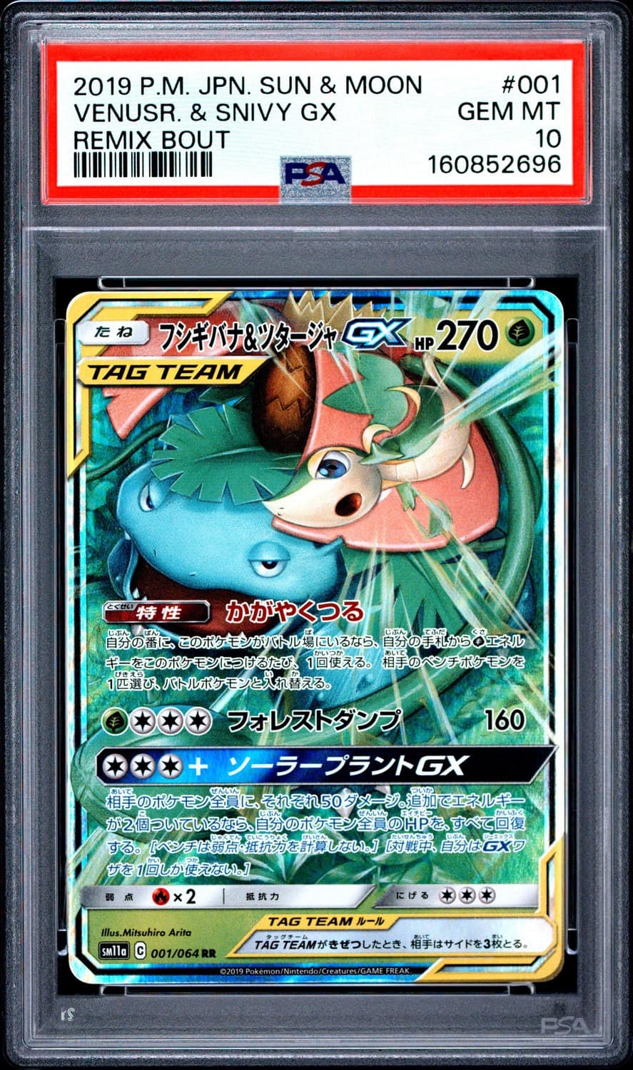 Venusaur & Snivy Gx
