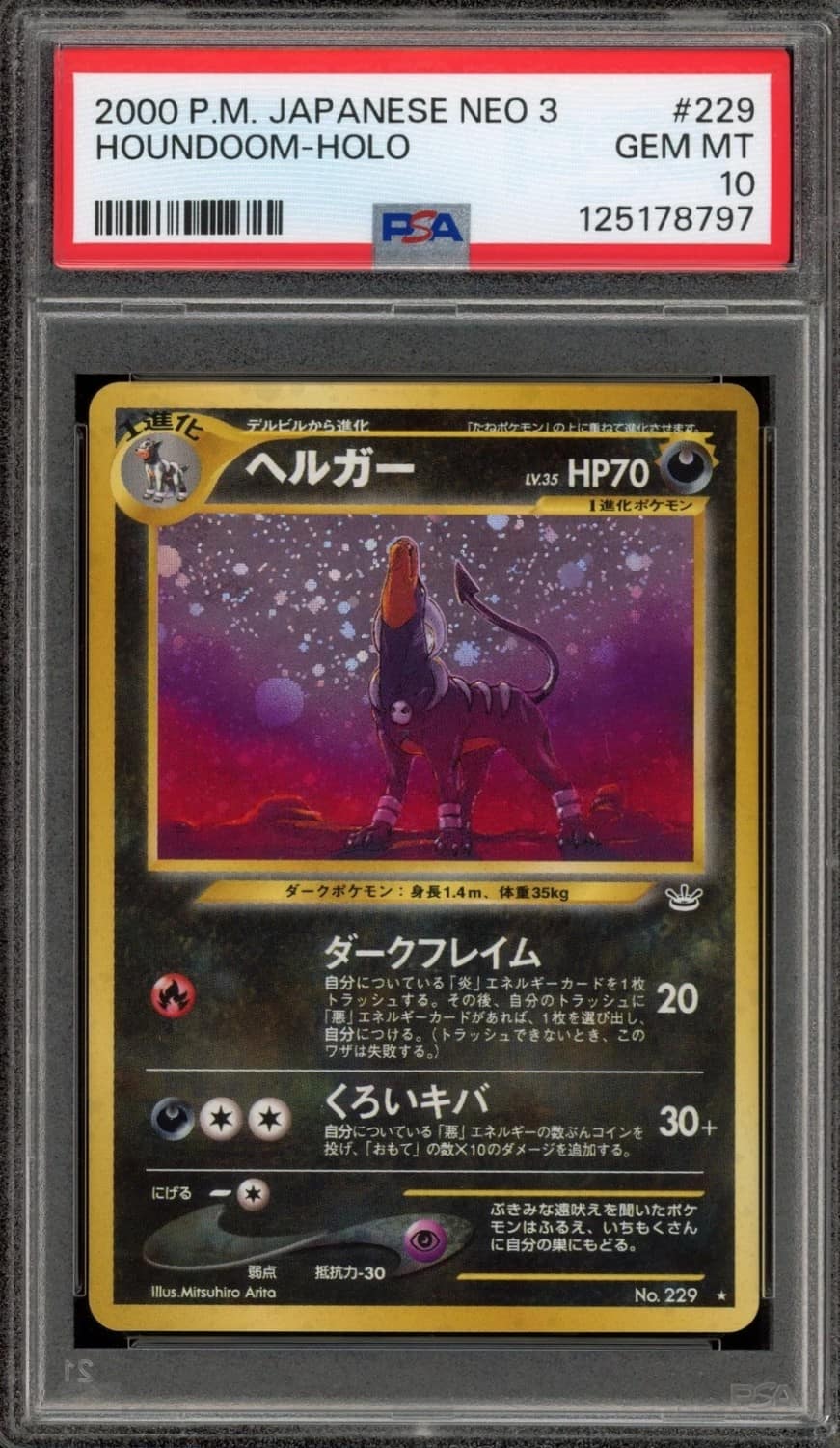 Houndoom