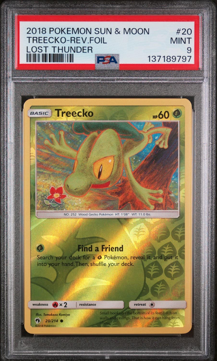 Treecko