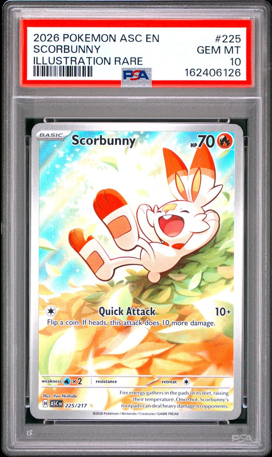 Scorbunny