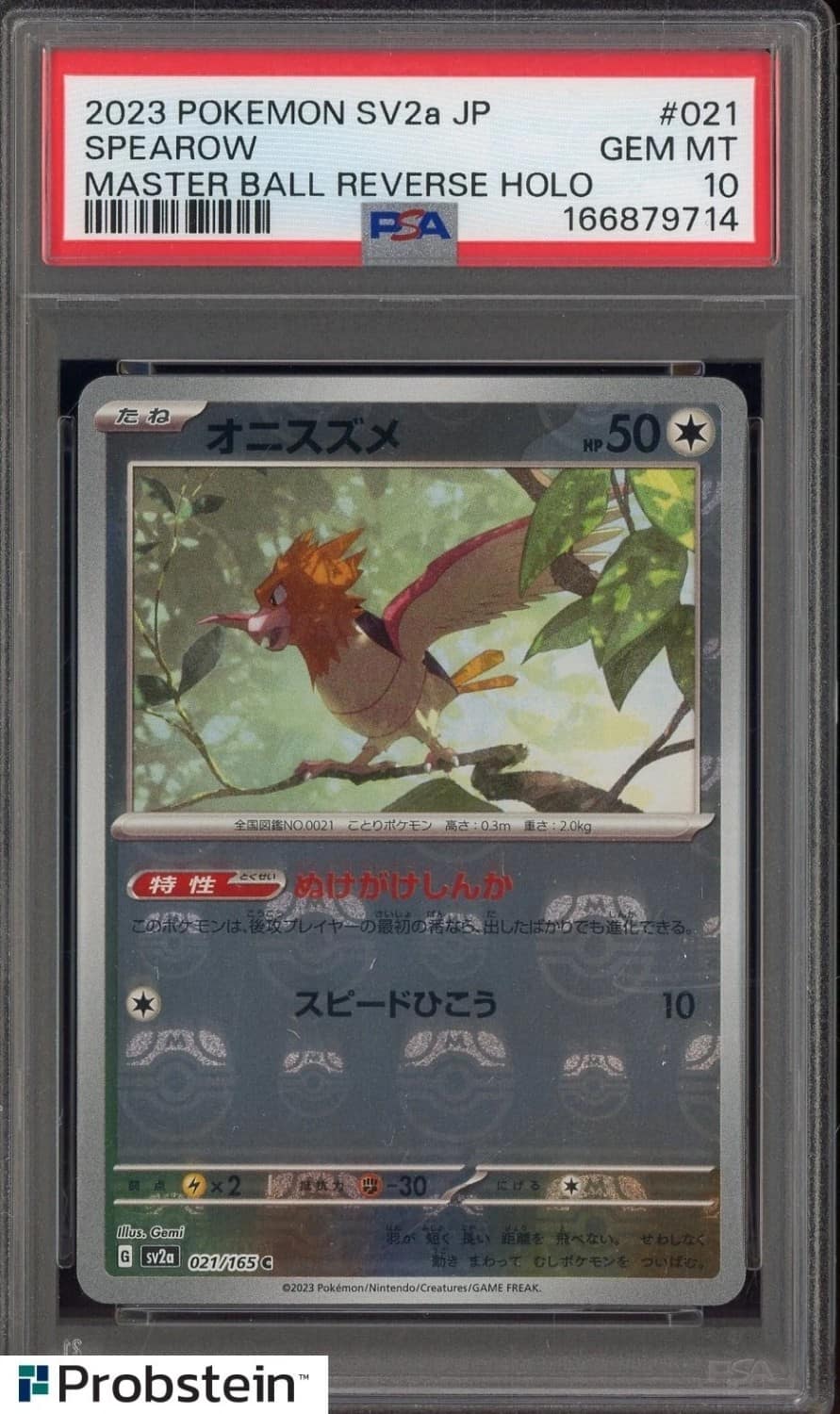 Spearow
