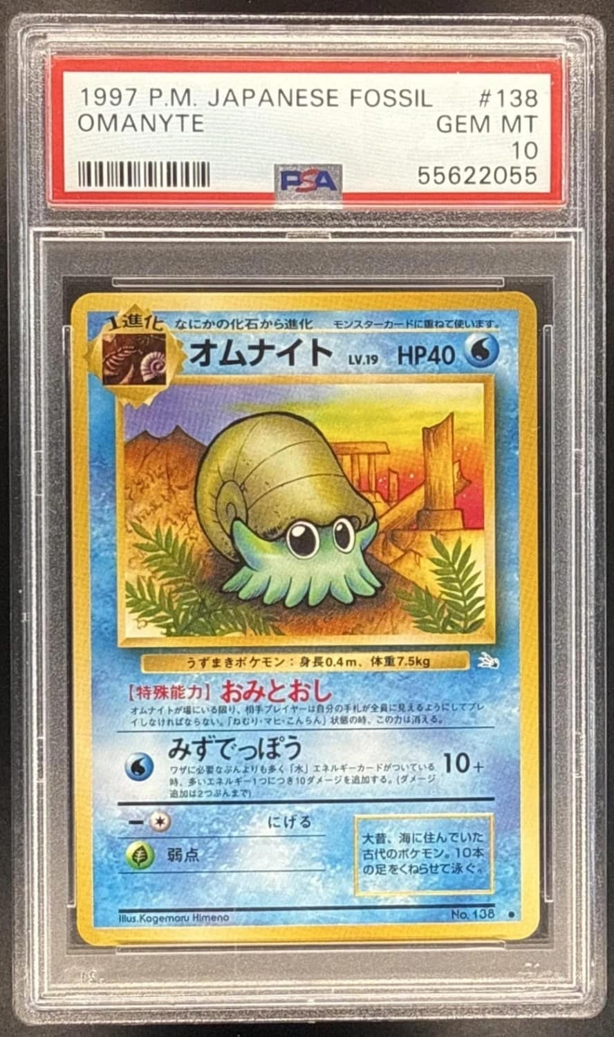 Omanyte