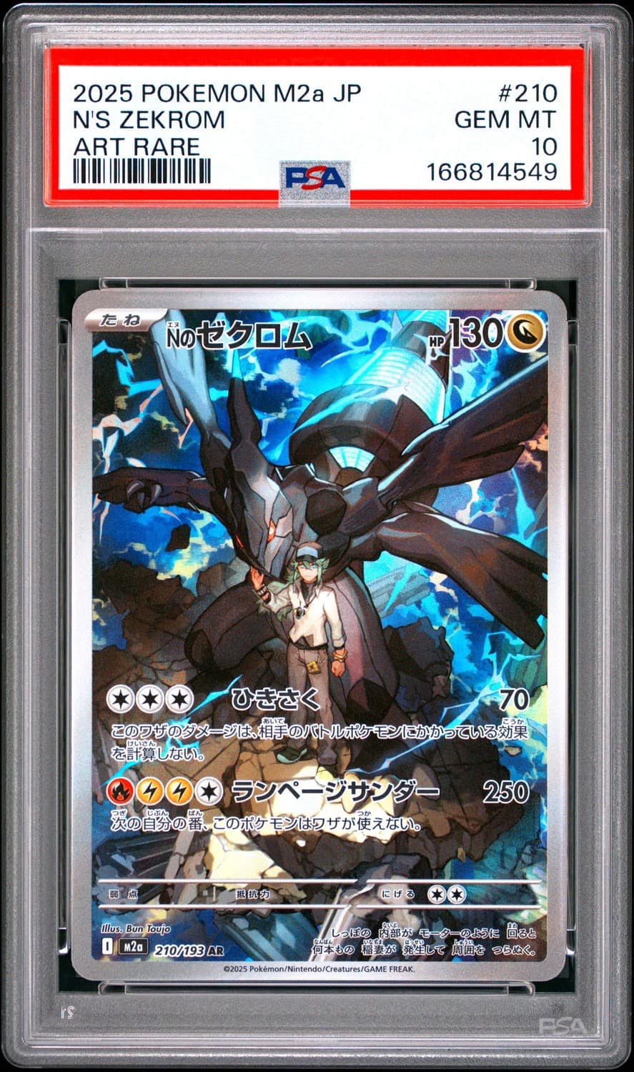 N'S Zekrom