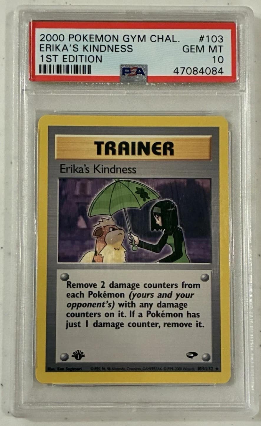 Erika'S Kindness