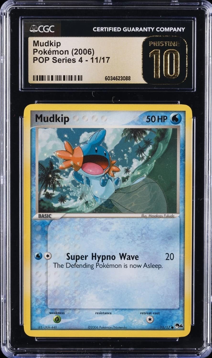 Mudkip