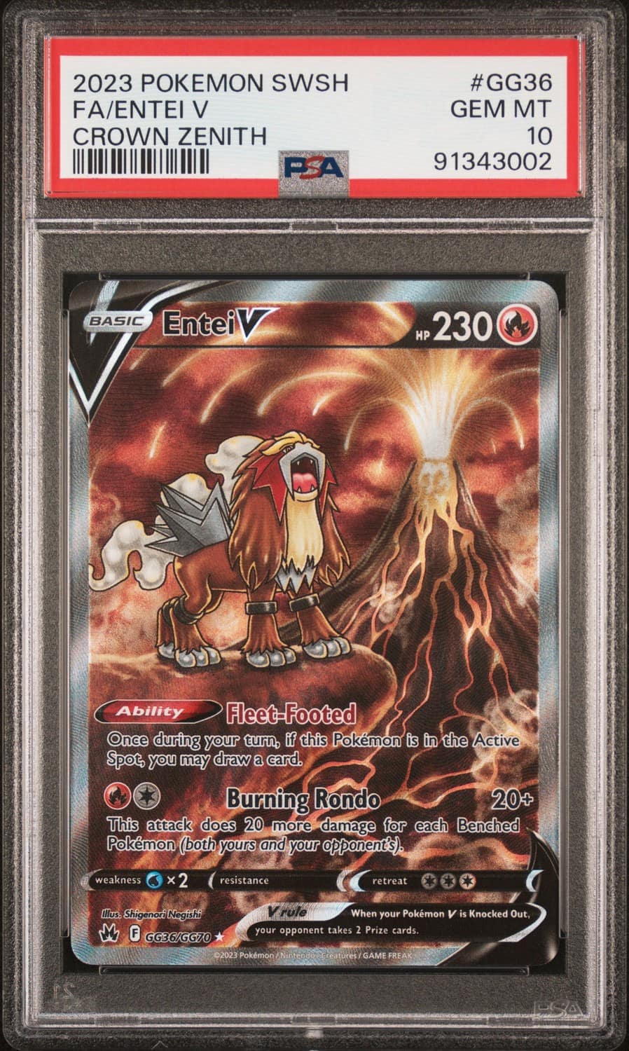 Entei V