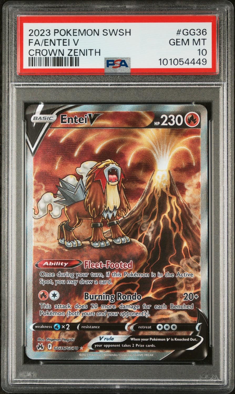 Entei V