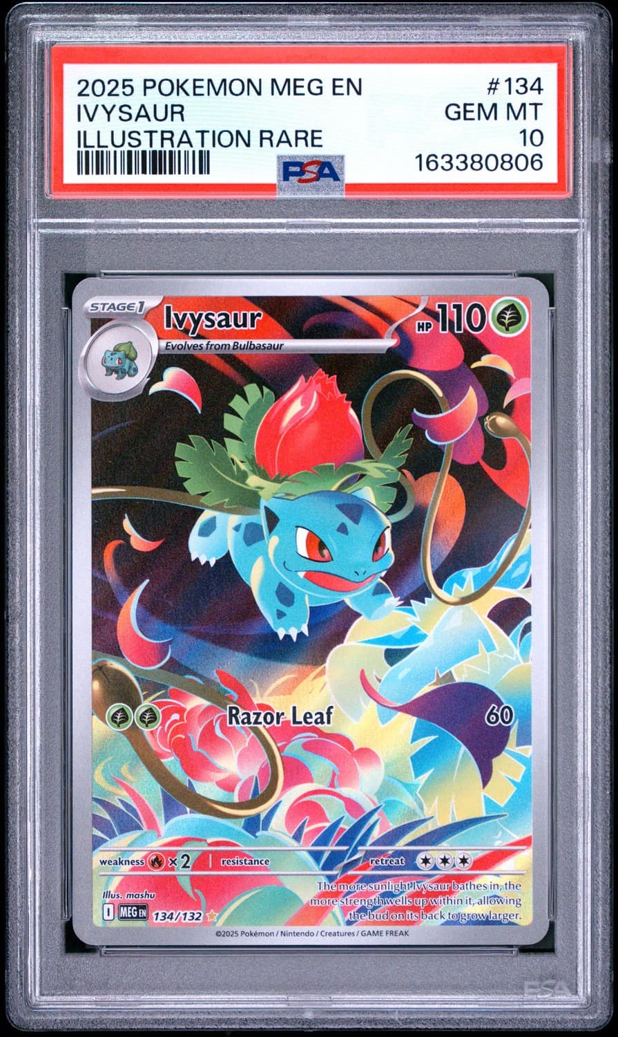 Ivysaur