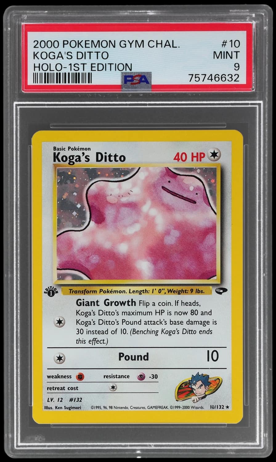 Koga'S Ditto