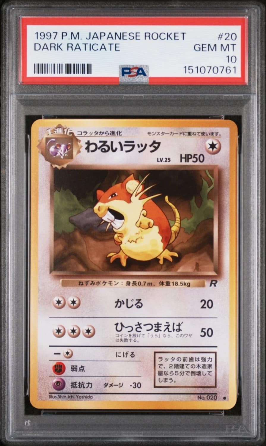 Dark Raticate