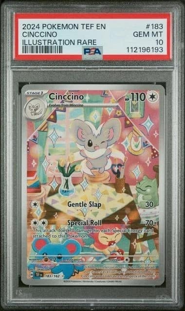 Cinccino