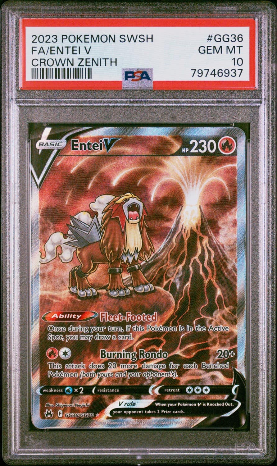 Entei V
