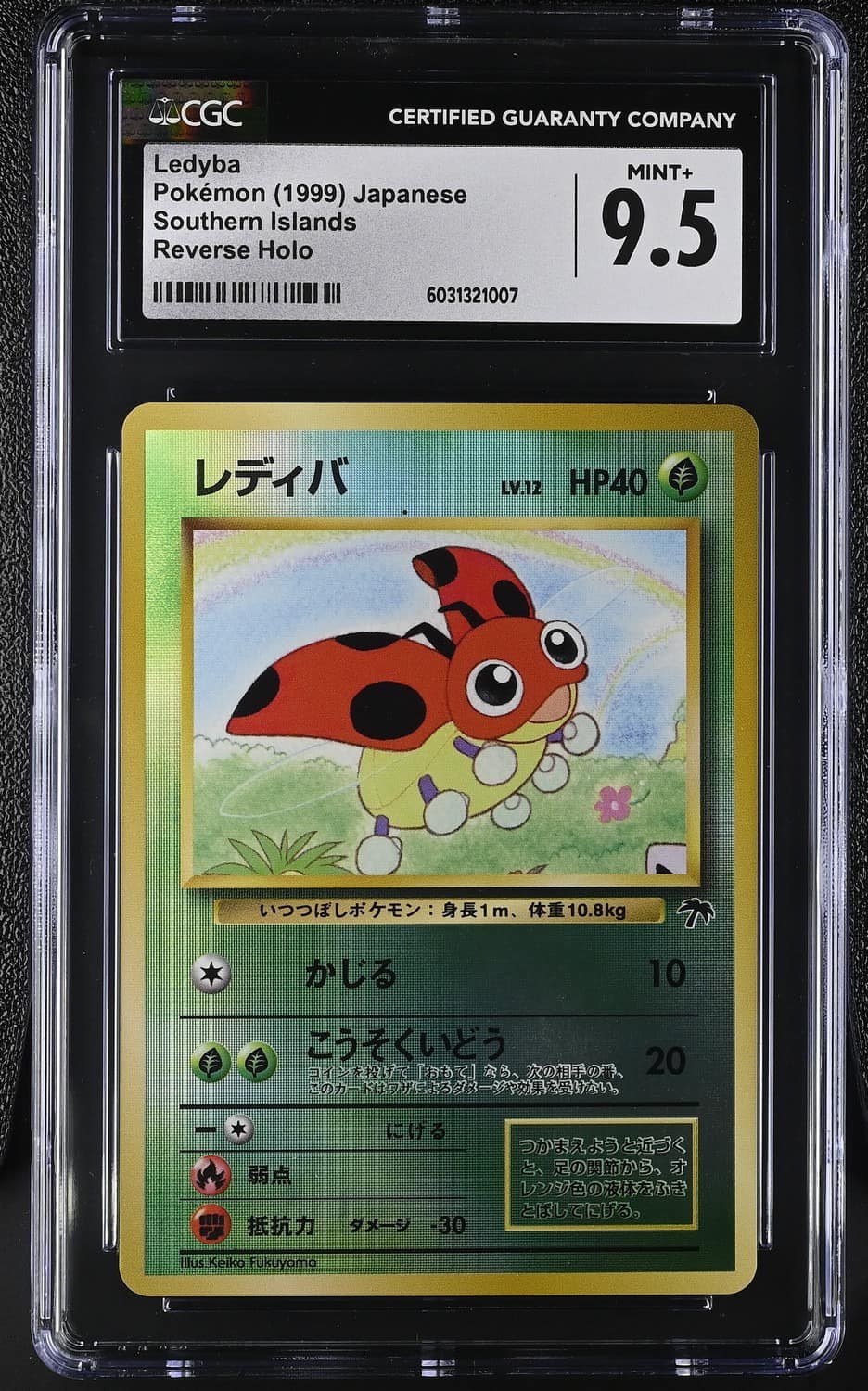 Ledyba