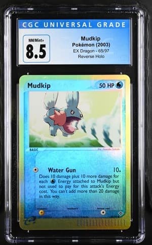 Mudkip