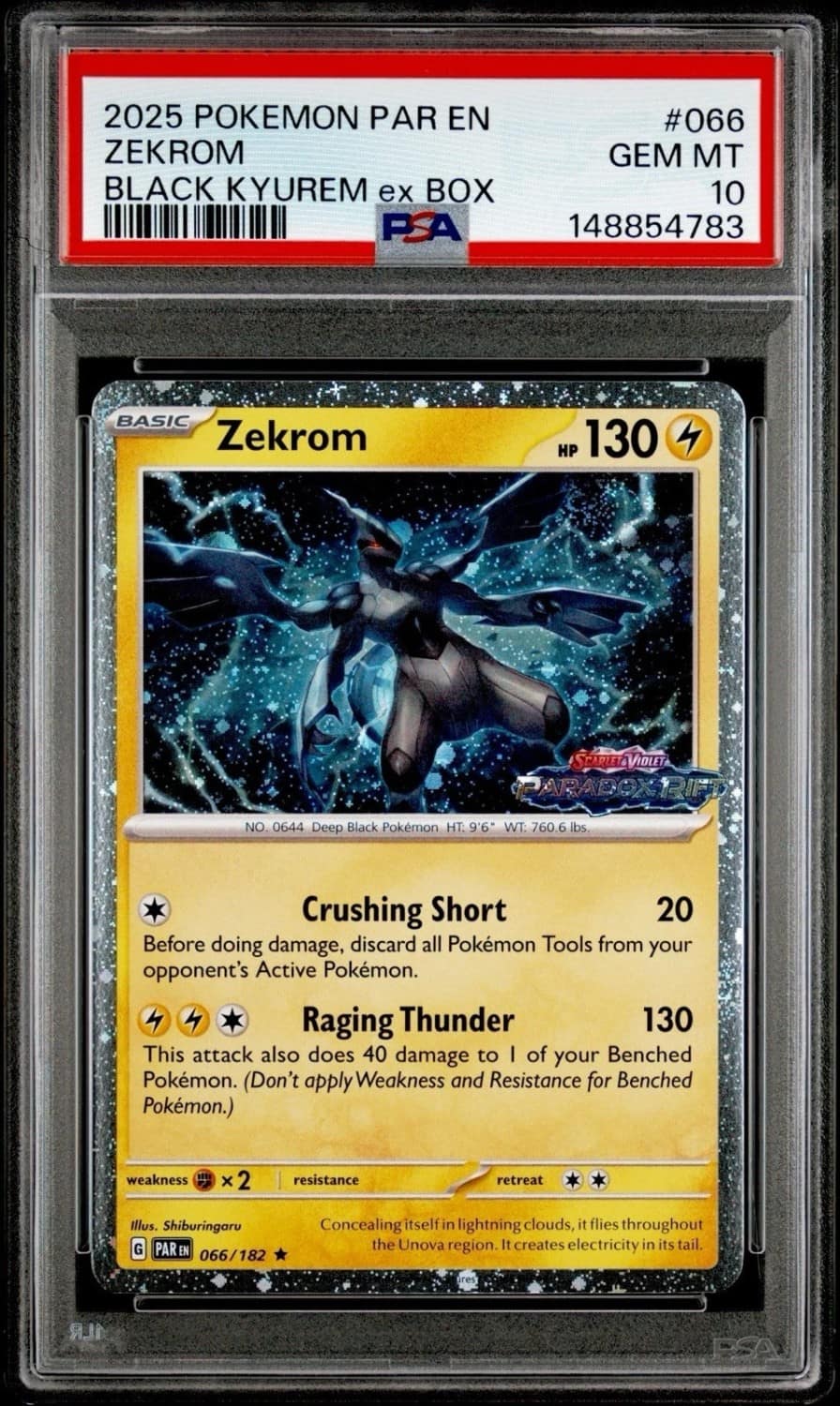 Zekrom
