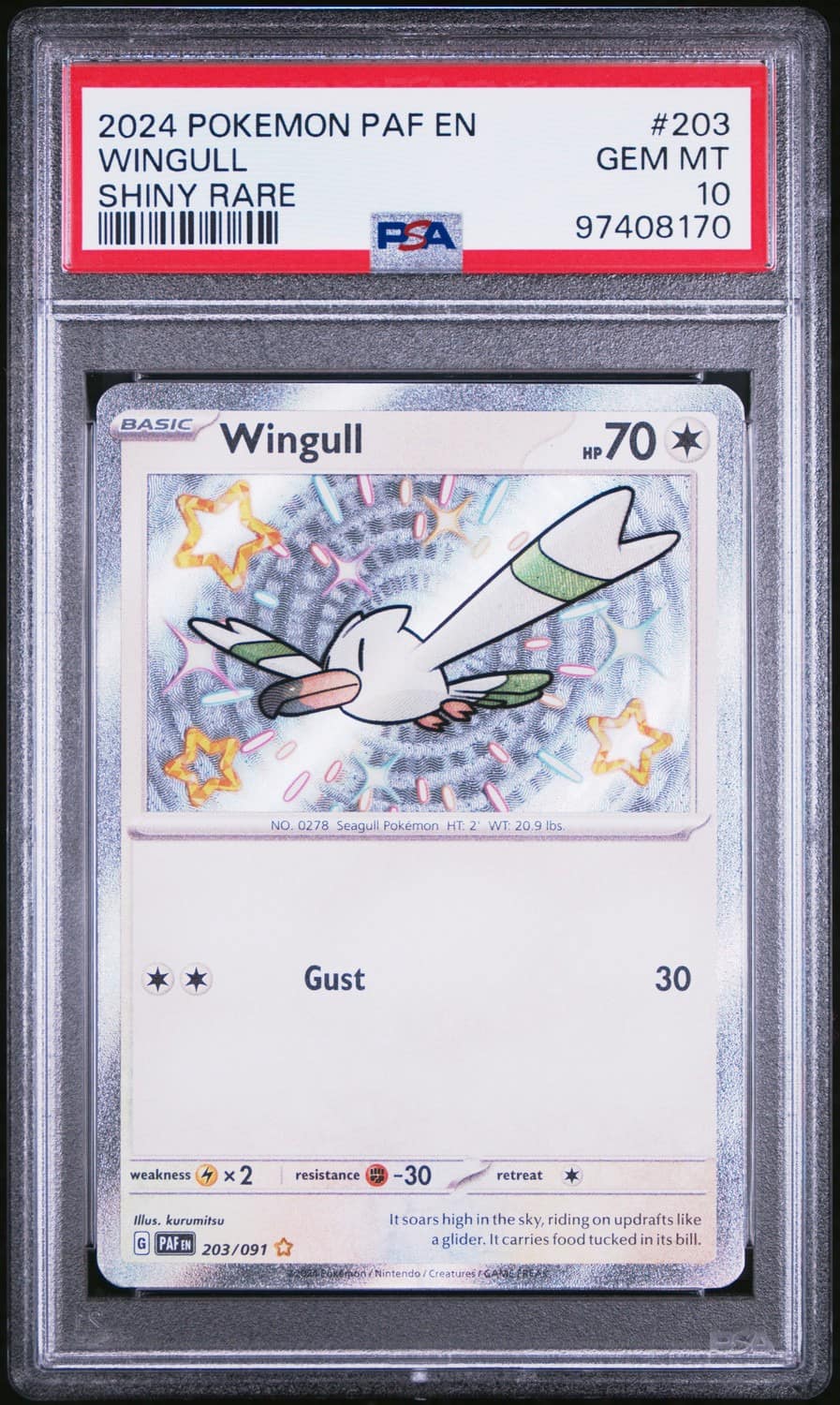 Wingull
