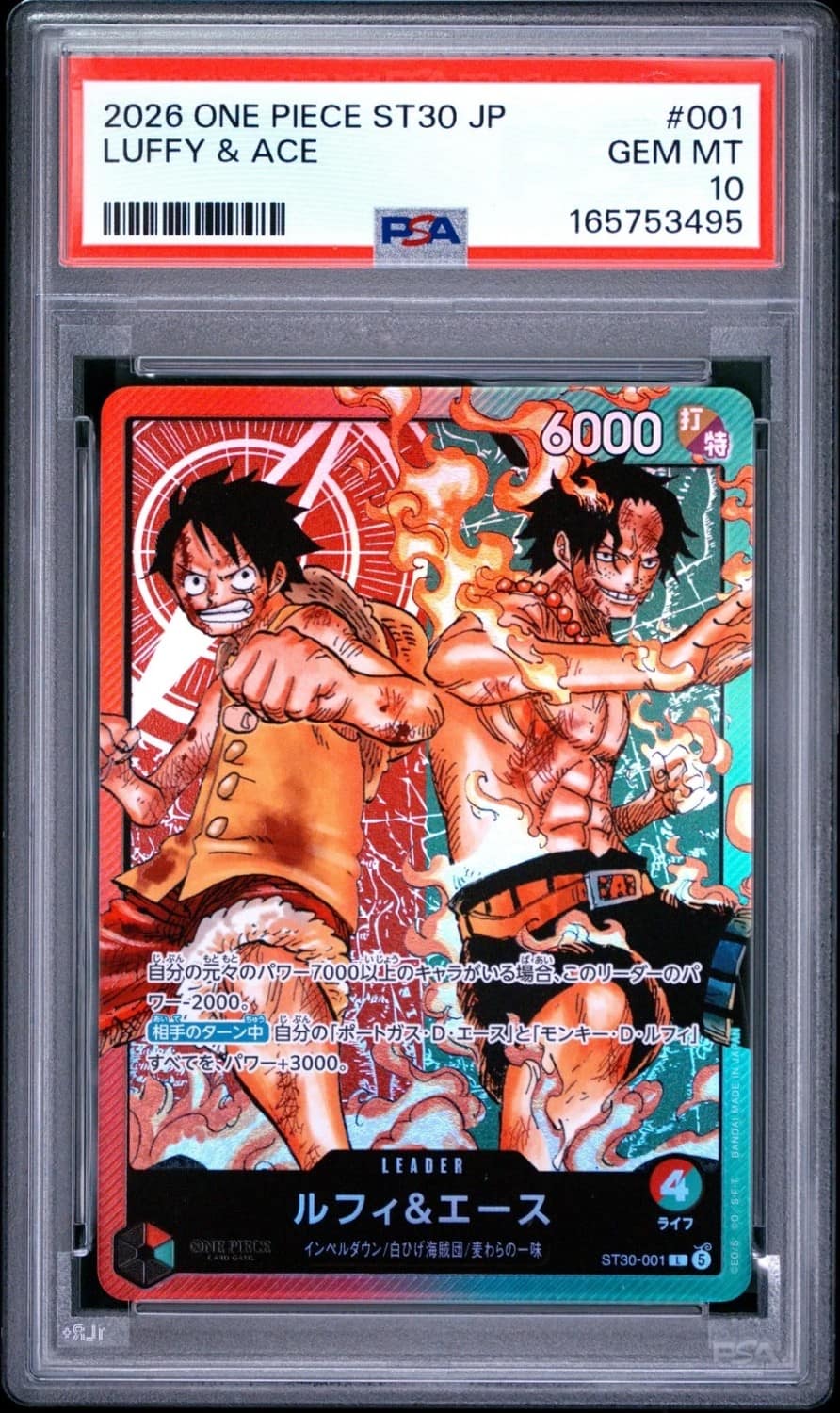 Luffy & Ace