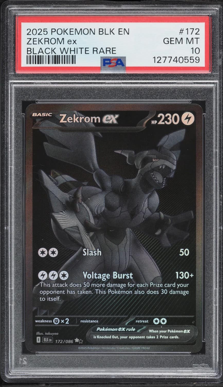 Zekrom Ex