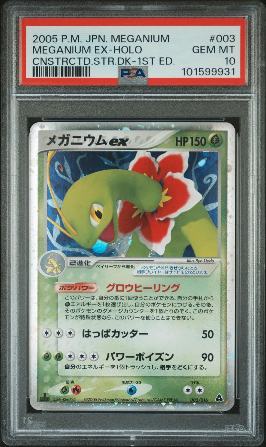 Meganium Ex