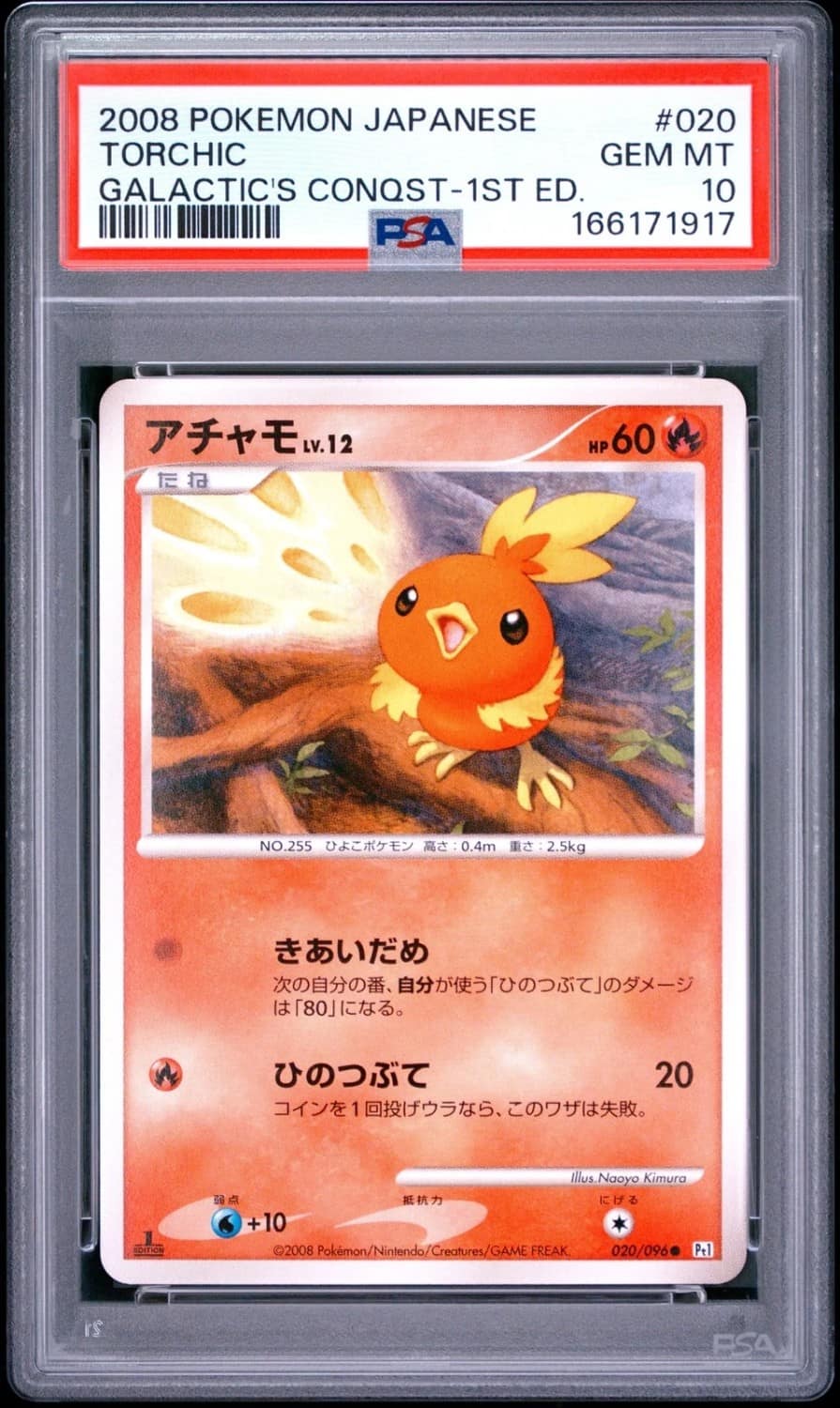 Torchic