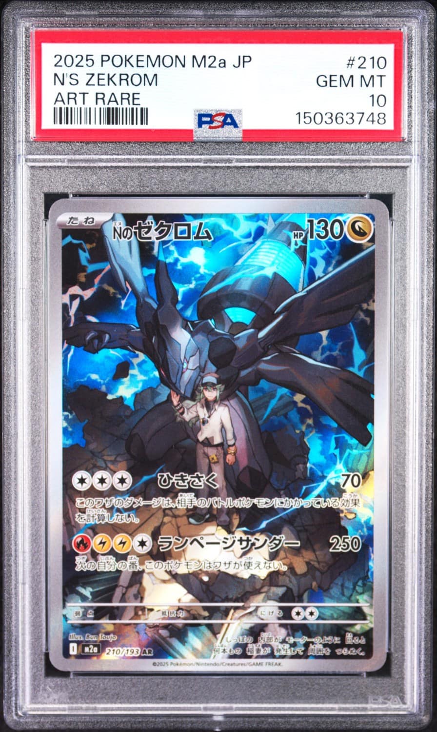 N'S Zekrom