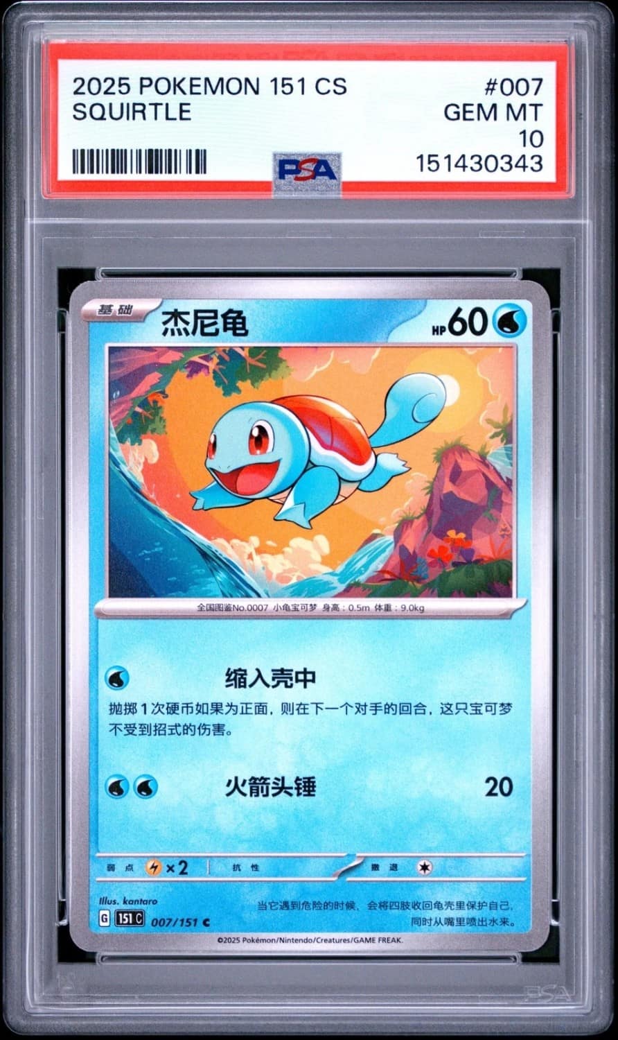 Squirtle