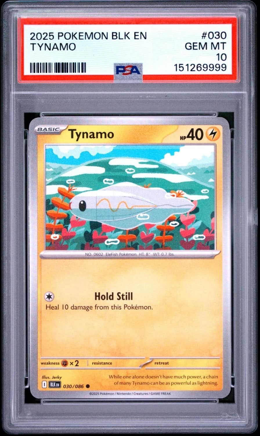 Tynamo