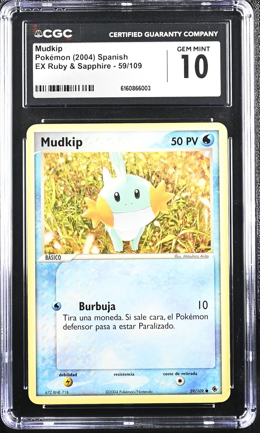 Mudkip
