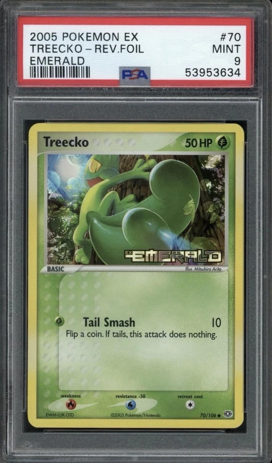 Treecko