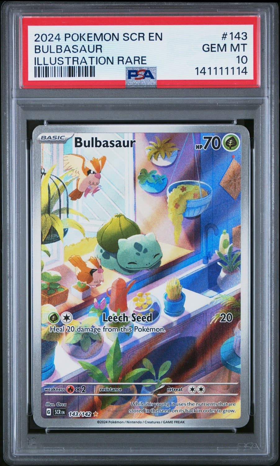 Bulbasaur
