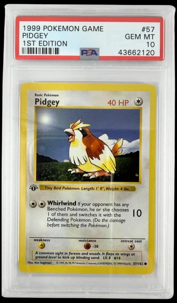 Pidgey