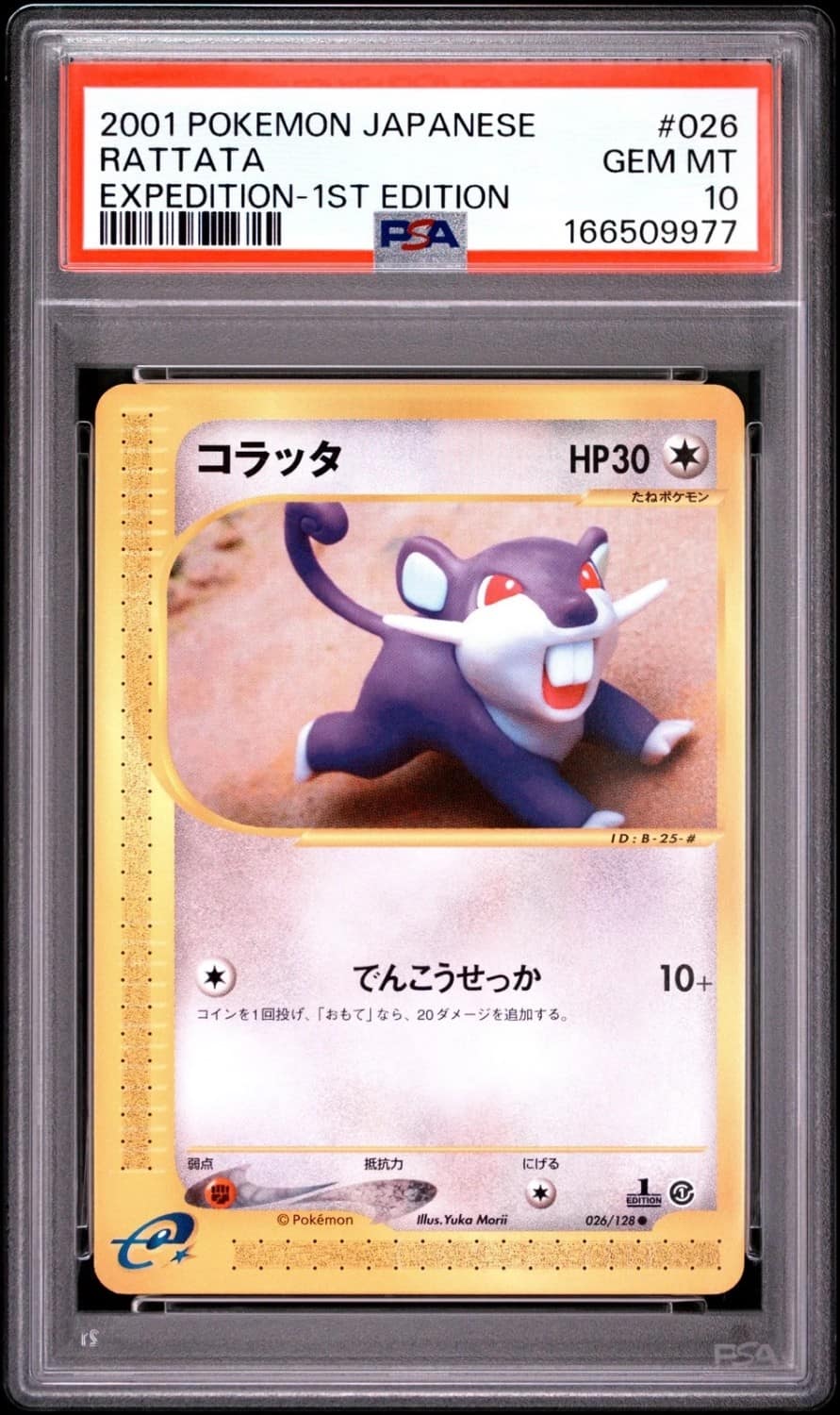 Rattata
