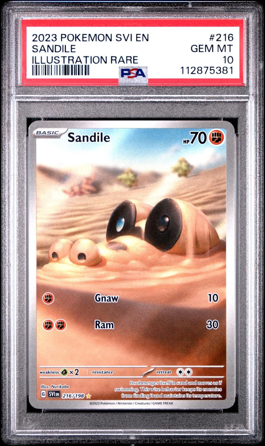 Sandile