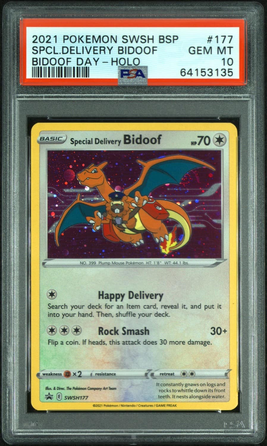 Special Delivery Bidoof