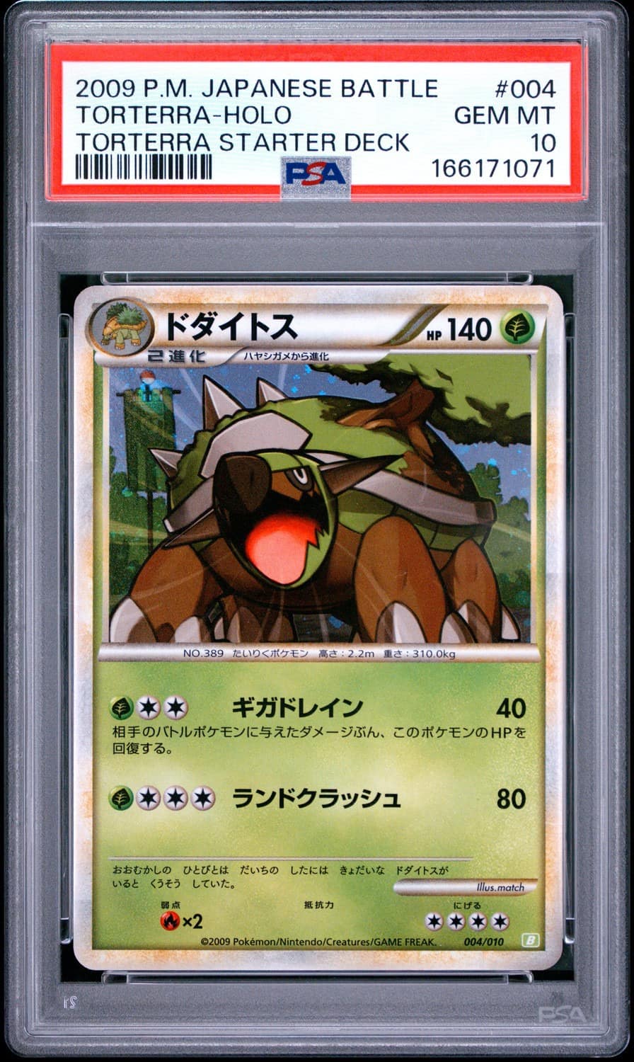 Torterra